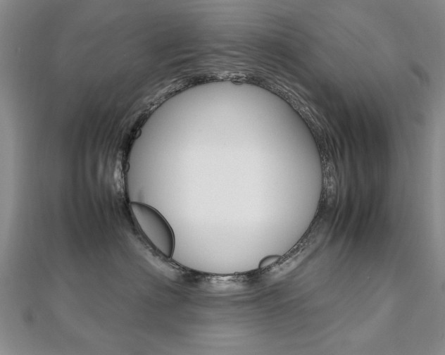 X0000112470622200908170951