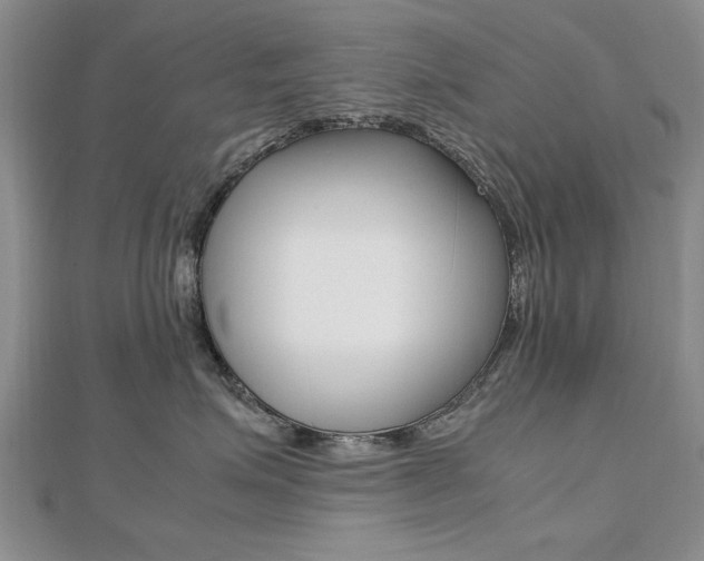 X0000112470623200908170951