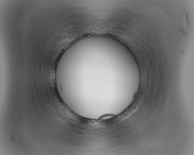 X0000112470624200908170951