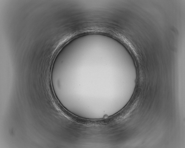 X0000112470625200908170951
