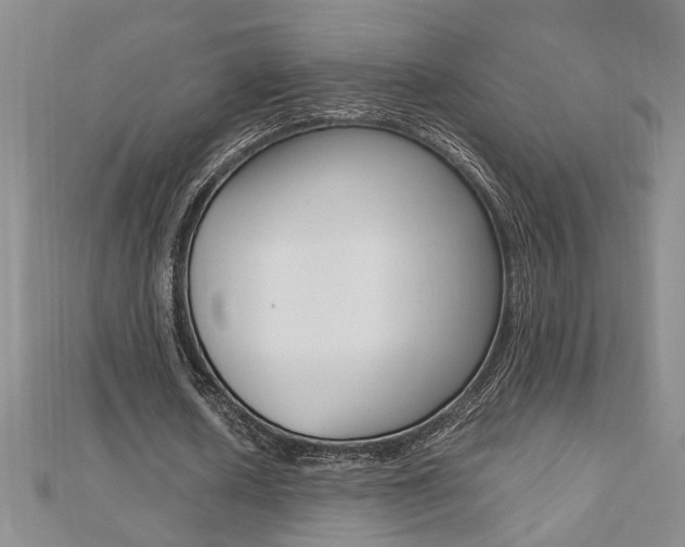 X0000112470626200908170951