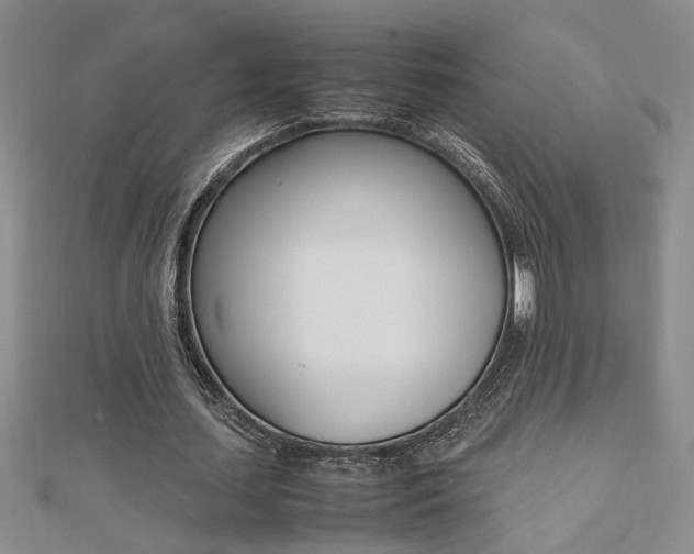 X0000112470627200908170951