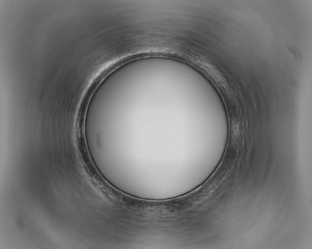 X0000112470628200908170951