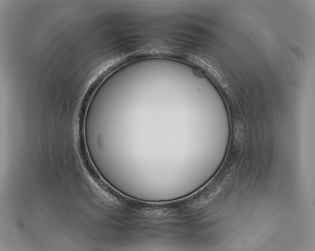 X0000112470629200908170951