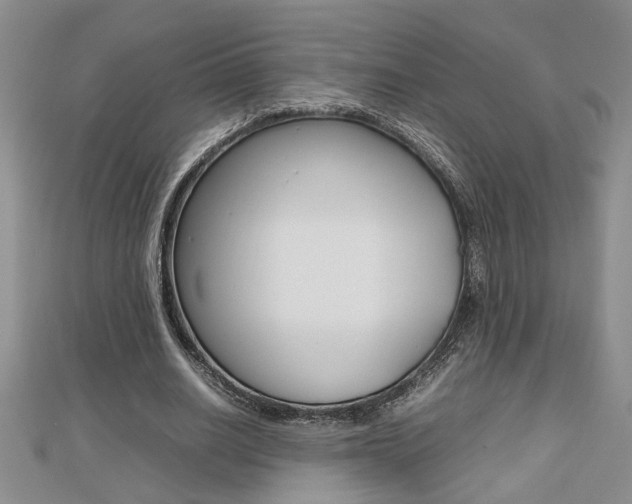 X0000112470630200908170951