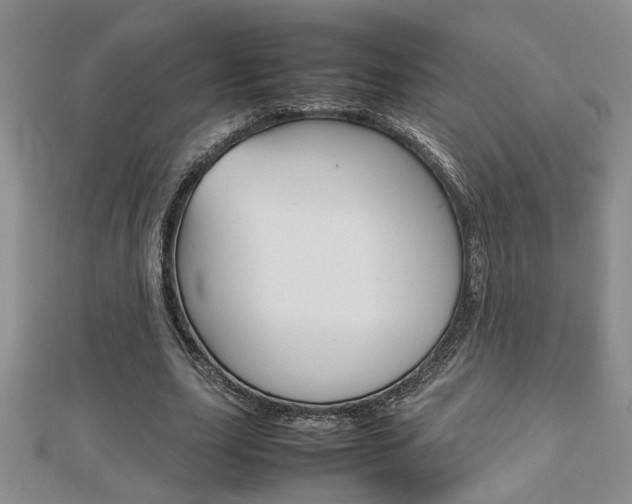 X0000112470631200908170951