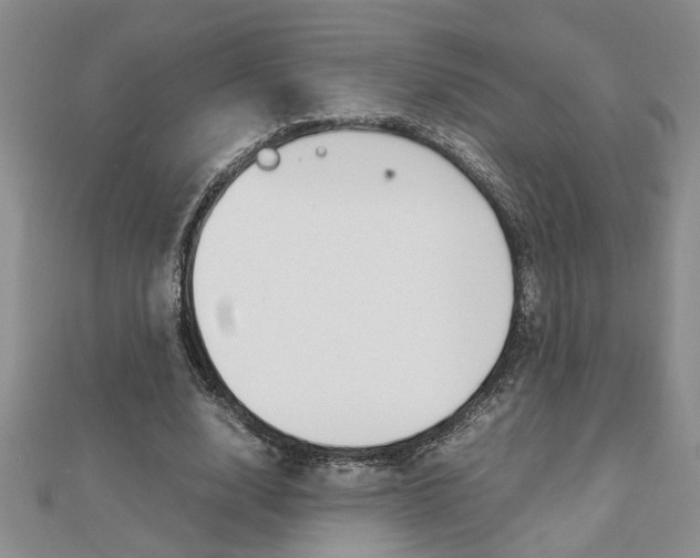 X0000112470632200908170951