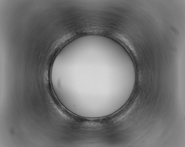 X0000112470633200908170951