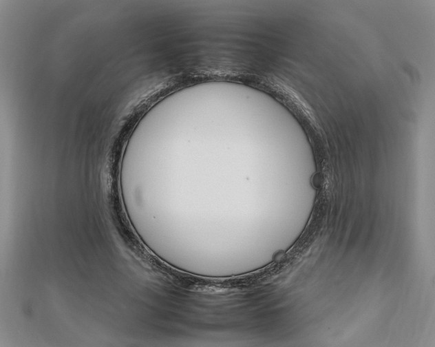 X0000112470635200908170951
