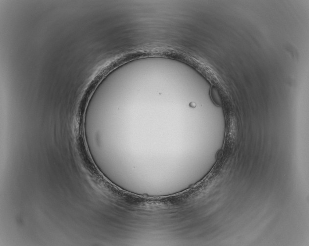 X0000112470636200908170951