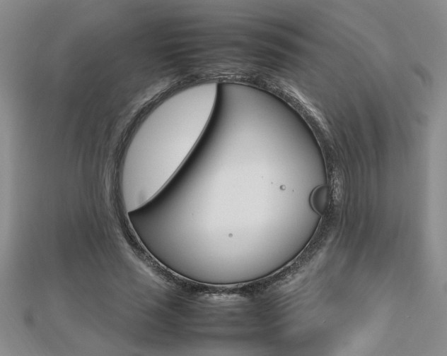 X0000112470637200908170951