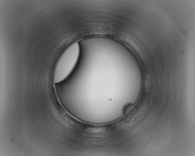X0000112470639200908170951
