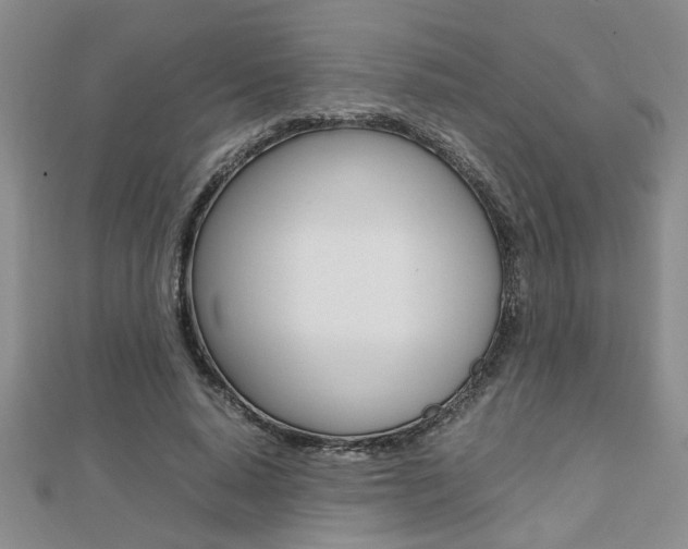 X0000112470640200908170951