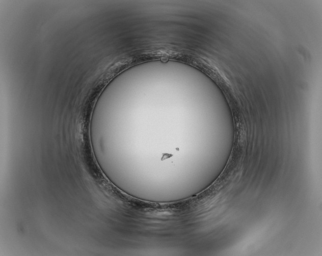 X0000112470643200908170951
