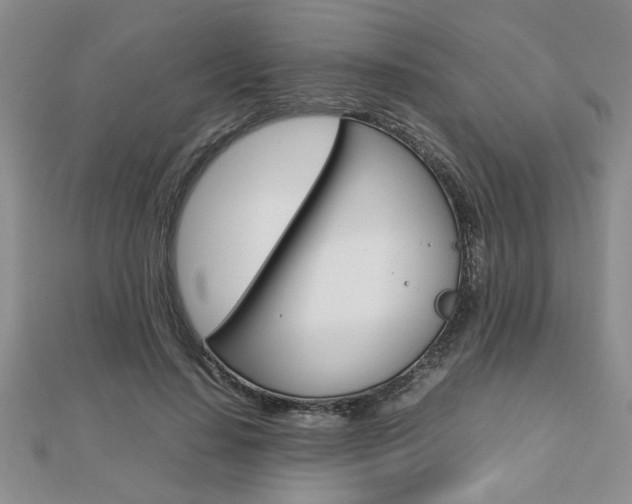 X0000112470644200908170951