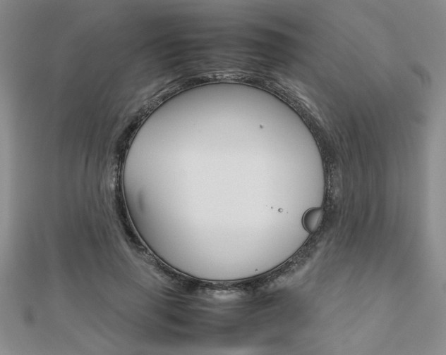 X0000112470645200908170951