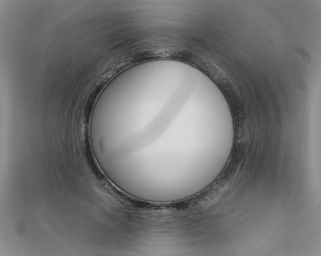 X0000112470646200908170951