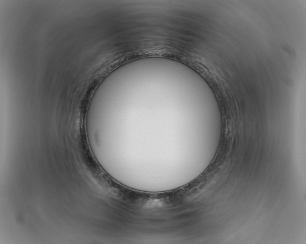 X0000112470647200908170951