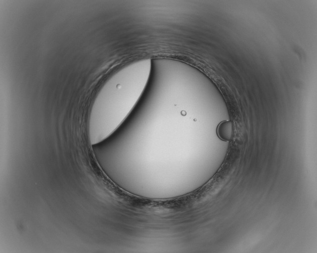 X0000112470648200908170951