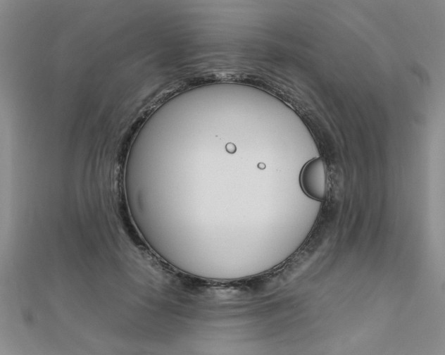 X0000112470650200908170951