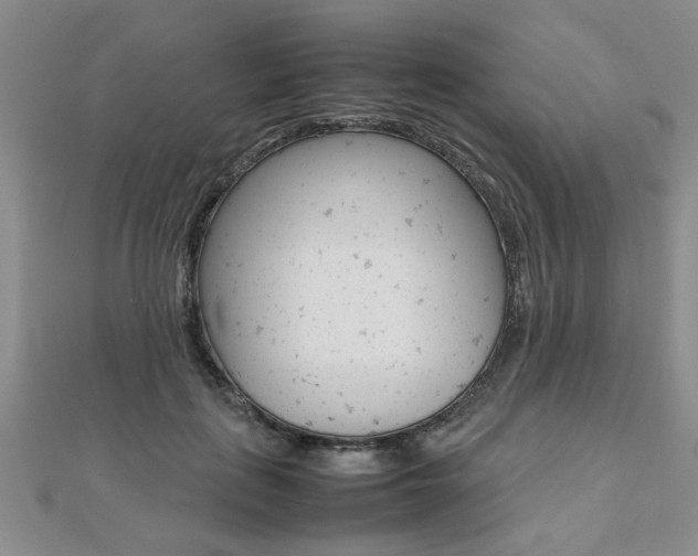 X0000112470651200908170951