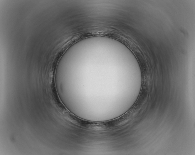 X0000112470652200908170951