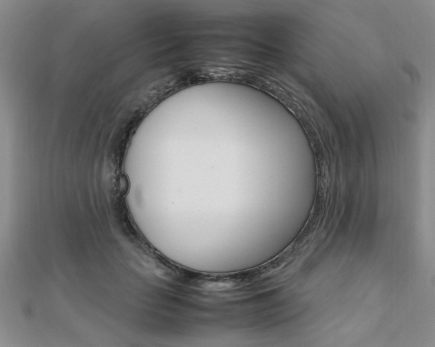 X0000112470653200908170951