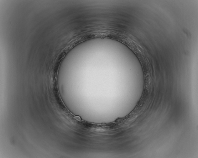 X0000112470655200908170951