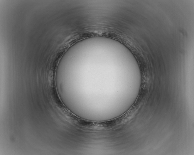 X0000112470656200908170951