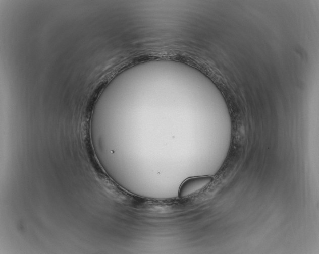 X0000112470658200908170951