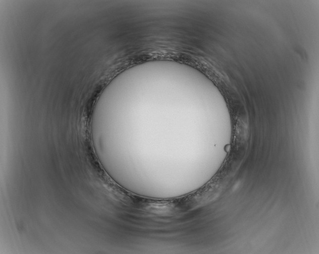 X0000112470659200908170951