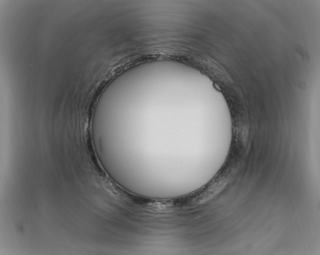 X0000112470660200908170951