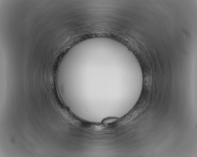 X0000112470662200908170951