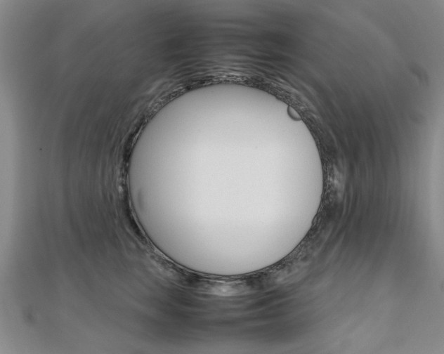 X0000112470663200908170951