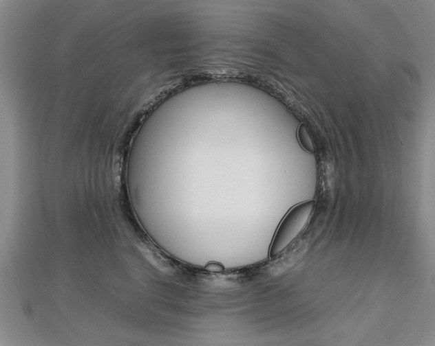 X0000112470664200908170951