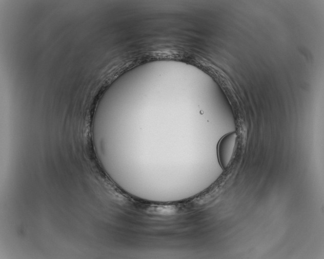 X0000112470665200908170951