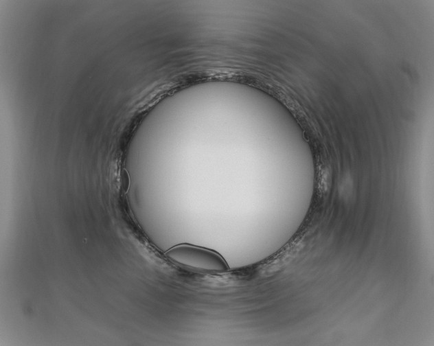 X0000112470666200908170951