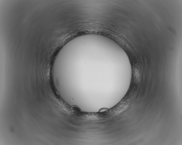 X0000112470668200908170951