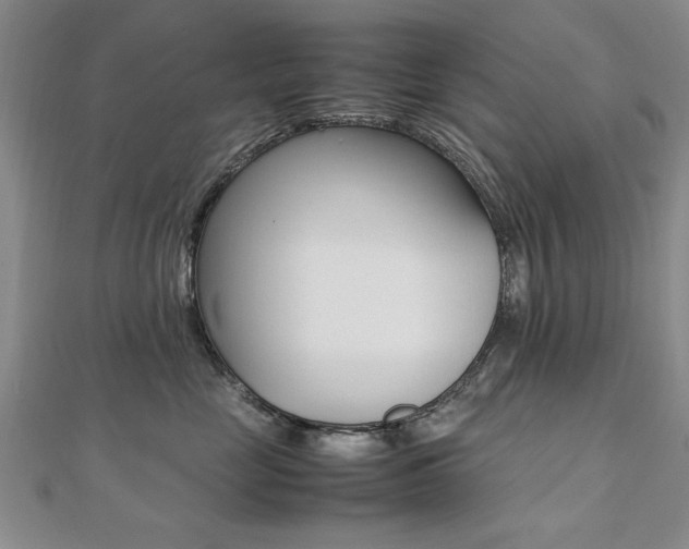 X0000112470669200908170951