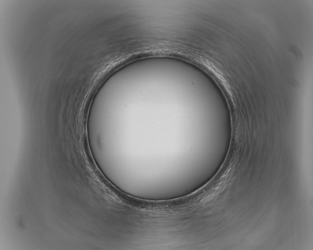 X0000112470673200908170951