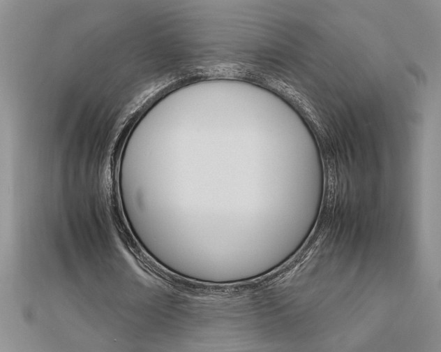 X0000112470674200908170951