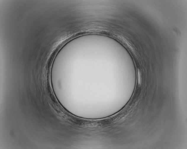 X0000112470675200908170951