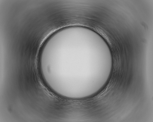 X0000112470676200908170951