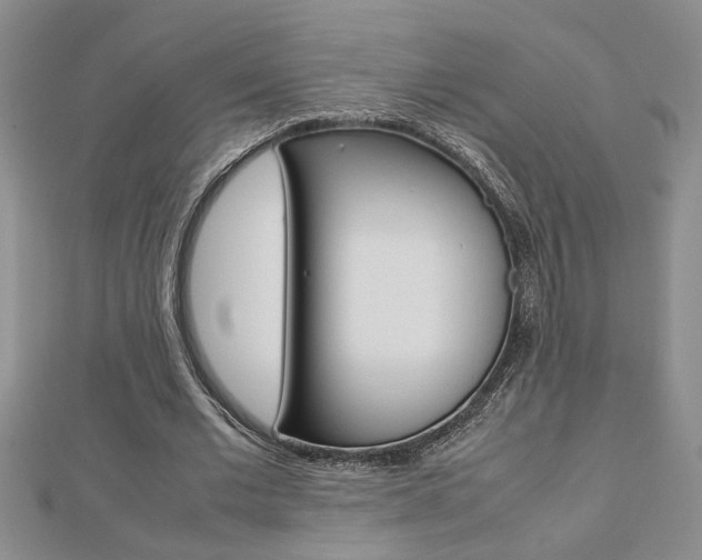 X0000112470677200908170951