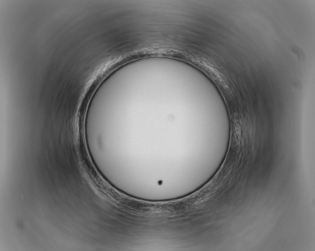 X0000112470678200908170951