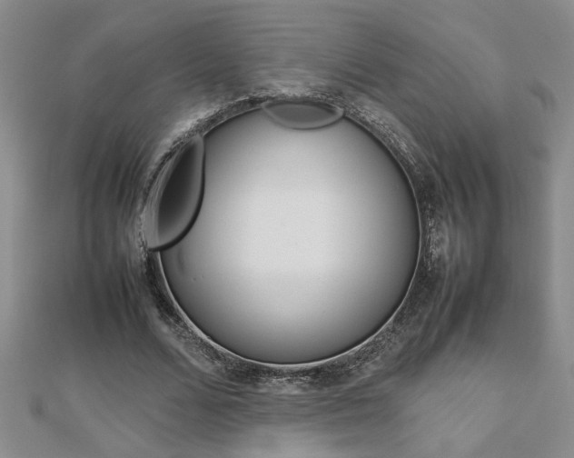X0000112470680200908170951