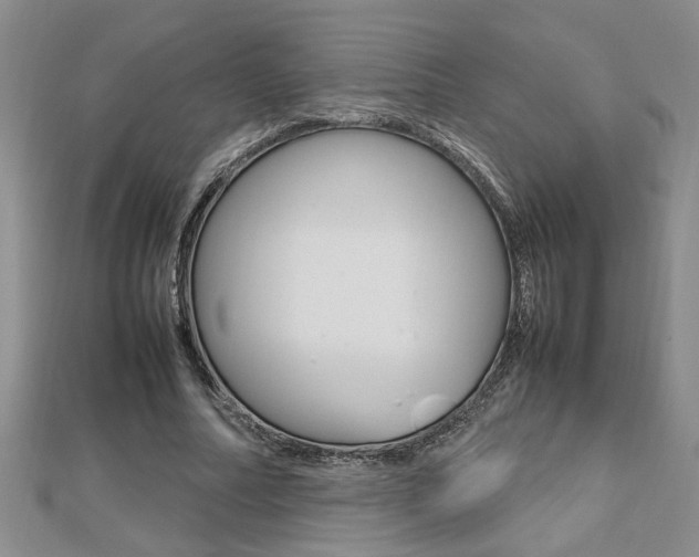 X0000112470682200908170951