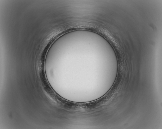 X0000112470683200908170951