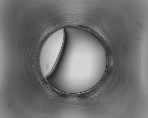 X0000112470685200908170951