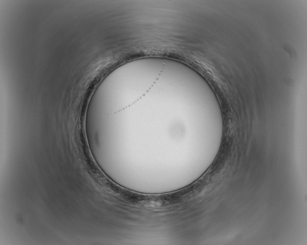 X0000112470687200908170951